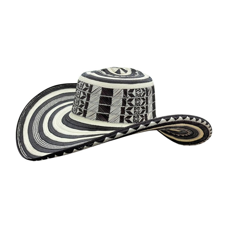 Sombrero Tradicional 15 Fibras + Estuche + Correa