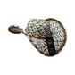 Sombrero 12 Fibras Económico Diseño Único