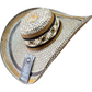 Sombrero Exclusivo Económico con Figuras Línea Tierra