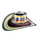 Sombrero 27 Fibras Engomado Colombiano