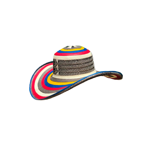 Sombrero 23 Fibras Exclusivo Multicolor Colombia
