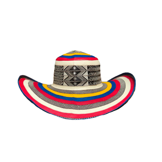 Sombrero 23 Fibras Exclusivo Multicolor Colombia